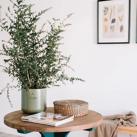 Βίλα Just Like - Casa Rosa